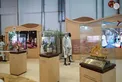 Hazza bin Zayed visits 22nd Abu Dhabi International Hunting and Equestrian Exhibition (ADIHEX)