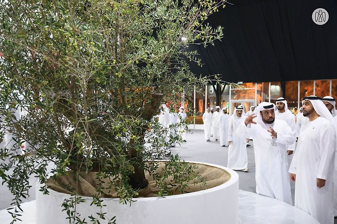 Hamdan Bin Zayed Visits 1st Liwa Date Festival and Auction