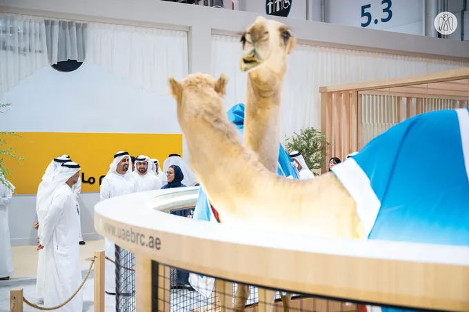 Theyab bin Mohamed bin Zayed visits 22nd Abu Dhabi International Hunting and Equestrian Exhibition