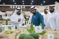 Hamdan bin Zayed visits 22nd Liwa Dates Festival