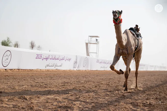 Rashid bin Hamdan bin Mohammed and Mohammed bin Hamdan bin Zayed award winners of final competitions at 2nd Al Ain Camel Racing Festival