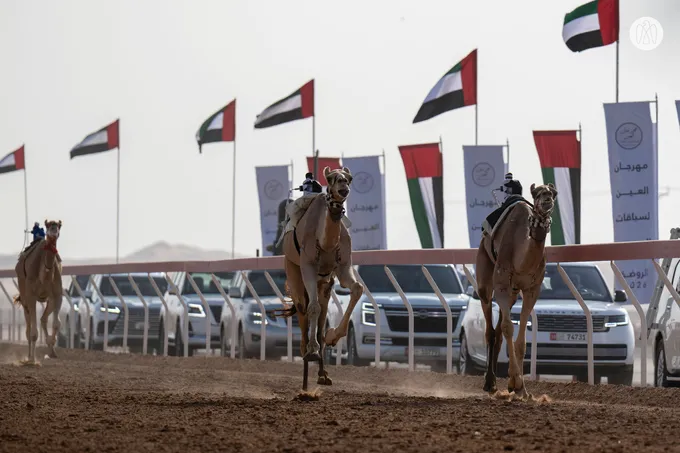 Rashid bin Hamdan bin Mohammed and Mohammed bin Hamdan bin Zayed award winners of final competitions at 2nd Al Ain Camel Racing Festival