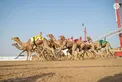 Hazza bin Zayed attends Lagaya category race at Al Rawda Racetrack in Al Ain Region