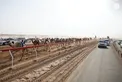 Hazza bin Zayed attends Lagaya category race at Al Rawda Racetrack in Al Ain Region