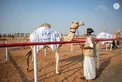 Mohammed bin Hamdan bin Zayed attends Sweihan Mazayna, part of Al Dhafra Festival