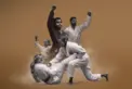 vid