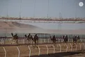 Rashid bin Hamdan bin Mohammed and Mohammed bin Hamdan bin Zayed award winners of final competitions at 2nd Al Ain Camel Racing Festival