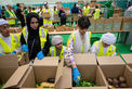National Food Loss and Waste Initiative, ne'ma reducing food waste and redistributing meals during Ramadan