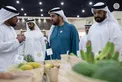 Hamdan bin Zayed visits 22nd Liwa Dates Festival