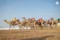 Hazza bin Zayed attends Lagaya category race at Al Rawda Racetrack in Al Ain Region