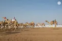 Hazza bin Zayed attends Lagaya category race at Al Rawda Racetrack in Al Ain Region