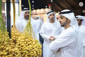 Hamdan bin Zayed visits Liwa Date Festival and reviews latest technologies in palm tree cultivation