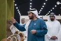 Hamdan bin Zayed visits 22nd Liwa Dates Festival