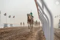Hazza bin Zayed attends Lagaya category race at Al Rawda Racetrack in Al Ain Region