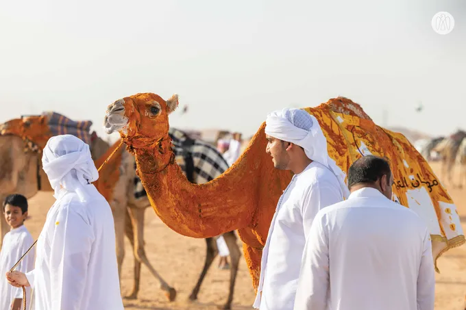 Rashid bin Hamdan bin Mohammed and Mohammed bin Hamdan bin Zayed award winners of final competitions at 2nd Al Ain Camel Racing Festival