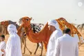 Rashid bin Hamdan bin Mohammed and Mohammed bin Hamdan bin Zayed award winners of final competitions at 2nd Al Ain Camel Racing Festival