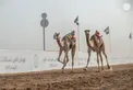 Hazza bin Zayed attends Lagaya category race at Al Rawda Racetrack in Al Ain Region