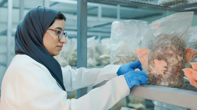 United Arab Emirates University launches Smart Mushroom House to advance food security and support Emirati undergraduate researchers