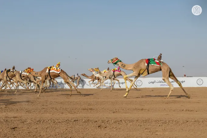 Hazza bin Zayed attends Lagaya category race at Al Rawda Racetrack in Al Ain Region