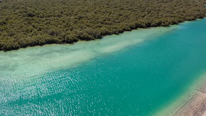 Environment Agency – Abu Dhabi partners with ADNOC to enhance environmental coastal conservation across the emirate