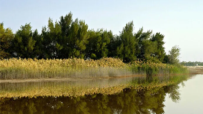 Environment Agency – Abu Dhabi discovers 8 new invertebrate species within the Sheikh Zayed Network of Protected Areas
