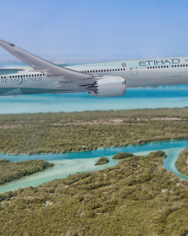 Tawazun Economic Council