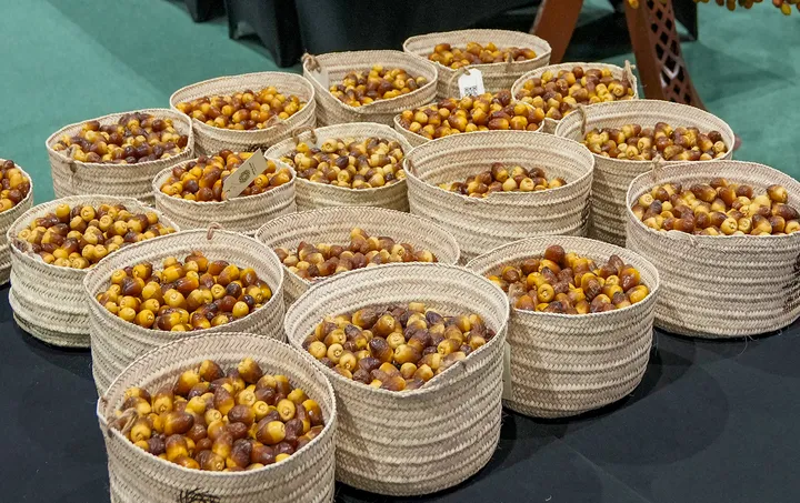 Liwa Dates Festival