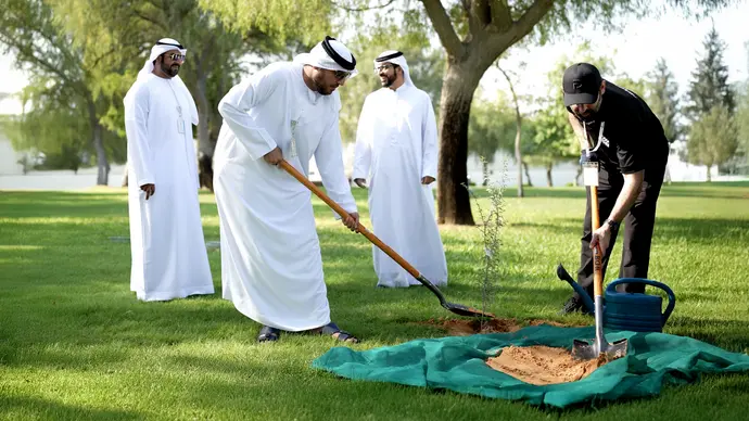 بلدية مدينة أبوظبي تزرع أكثر من 8,000 شجرة غاف في جزيرة أبوظبي والبر الرئيسي خلال عام 2024