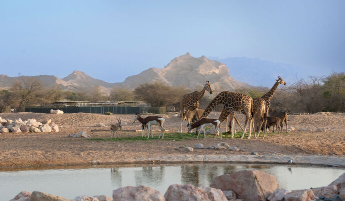 Al Ain Zoo celebrates receiving 10m visitors since 2010
