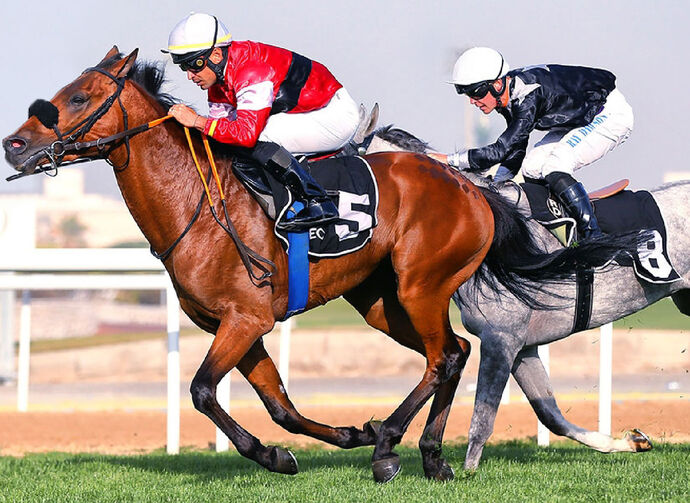 Under the patronage of Mansour bin Zayed, 31st UAE President Cup for Purebred Arabian Horses to take place in Abu Dhabi