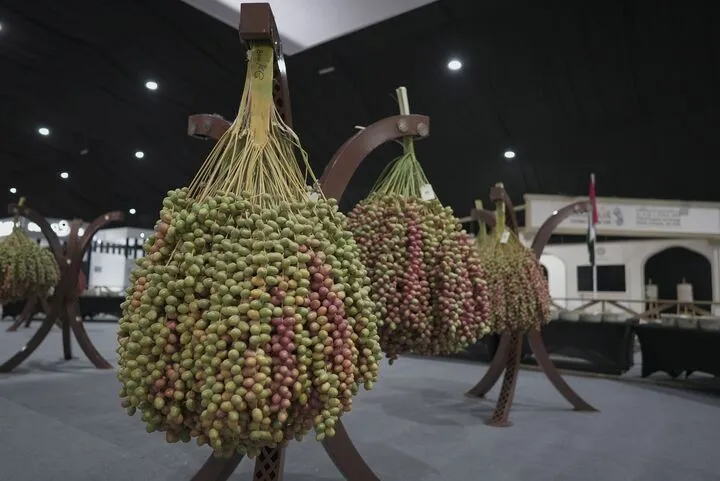 Liwa Date Festival