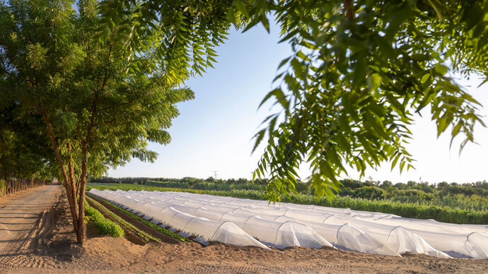Abu Dhabi Agriculture and Food Safety Authority issues decision on food and fodder sampling for control and inspection