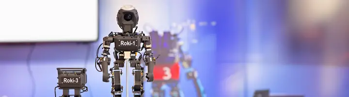 IEEE/RSJ International Conference on Intelligent Robots and Systems (IROS)