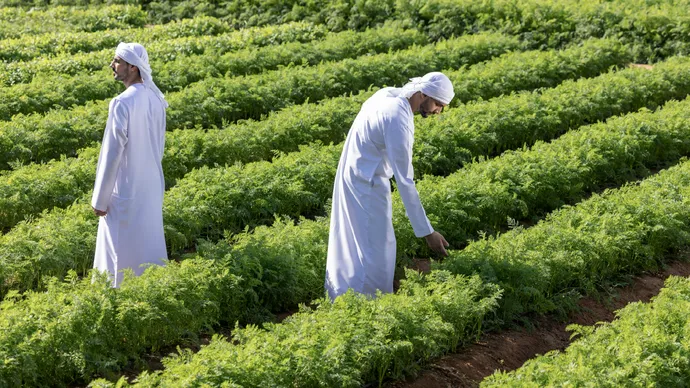 &quot;القابضة&quot; (ADQ) تعتزم الاستحواذ على حصة استراتيجية في شركة «ليماجرين لبذور الخضروات» وإطلاق شراكة لتطوير محاصيل تتكيَّف مع المناخ الصحراوي في أبوظبي