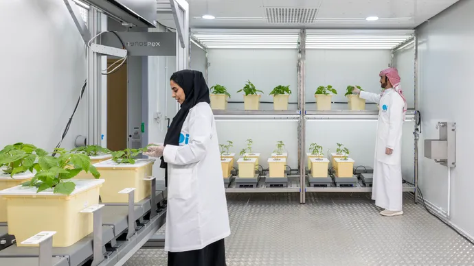 Silal partners with Limagrain Vegetable Seeds to launch Center of Excellence for Abiotic Resilience and Crop Genomics