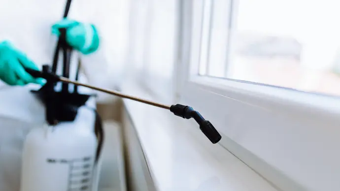 Abu Dhabi Public Health Centre expands services to include public health pest control