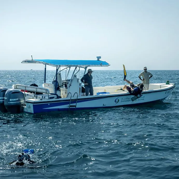 Environment Agency – Abu Dhabi completes oyster bed mapping survey across emirate’s marine waters