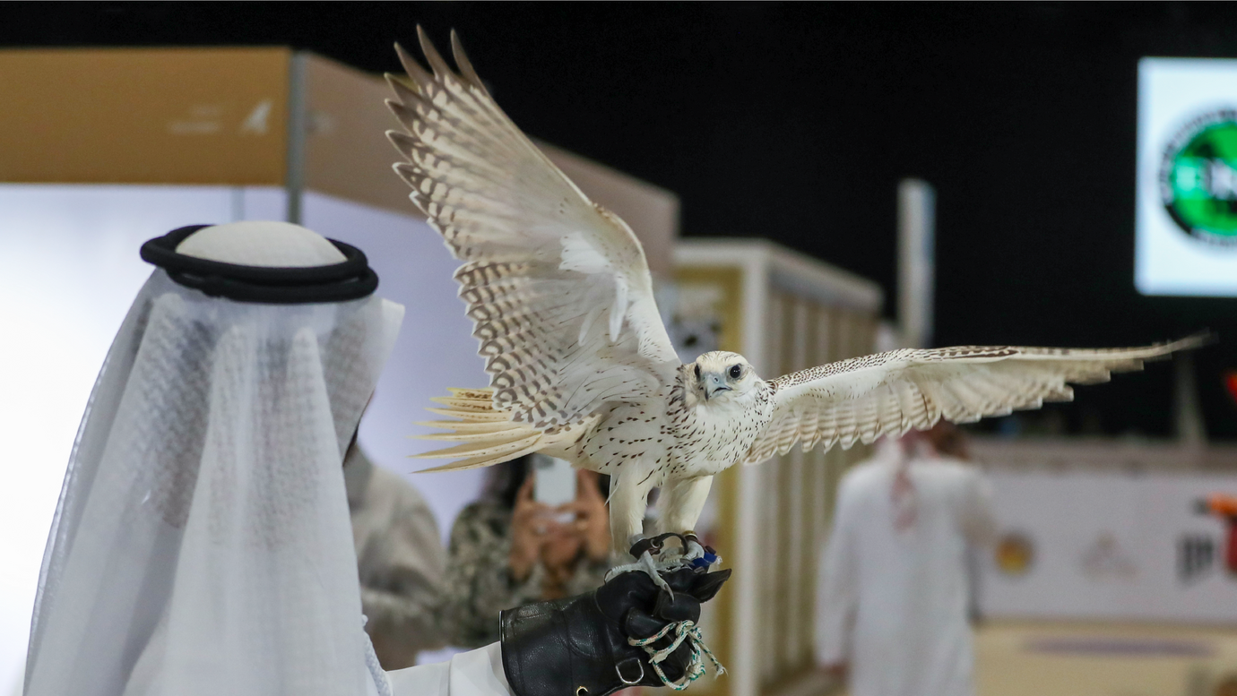 Under the patronage of Hamdan bin Zayed, 21st Abu Dhabi International Hunting and Equestrian