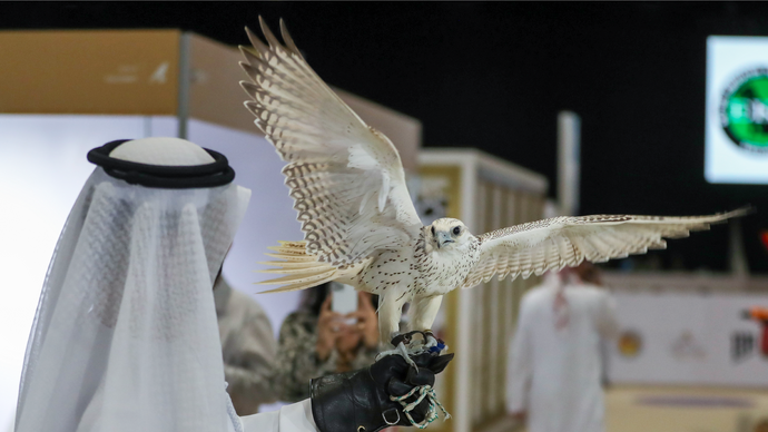 تحت رعاية حمدان بن زايد، النسخة الـ21 من معرض أبوظبي الدولي للصيد والفروسية تعقد فعالياتها في أبوظبي