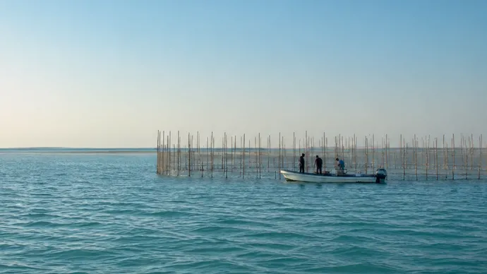 Under the directives of Hamdan bin Zayed, Environment Agency – Abu Dhabi extends fixed-gear fishing season until 31 October 2026