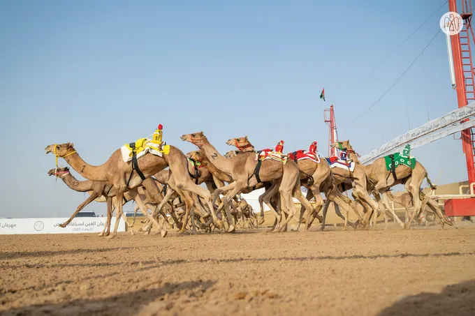 Hazza bin Zayed attends Lagaya category race at Al Rawda Racetrack in Al Ain Region
