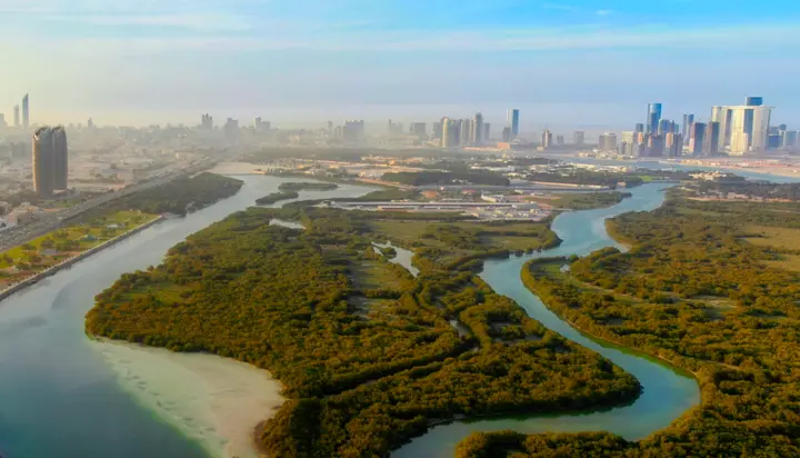 International Mangroves Conservation and Restoration Conference (IMCRC)