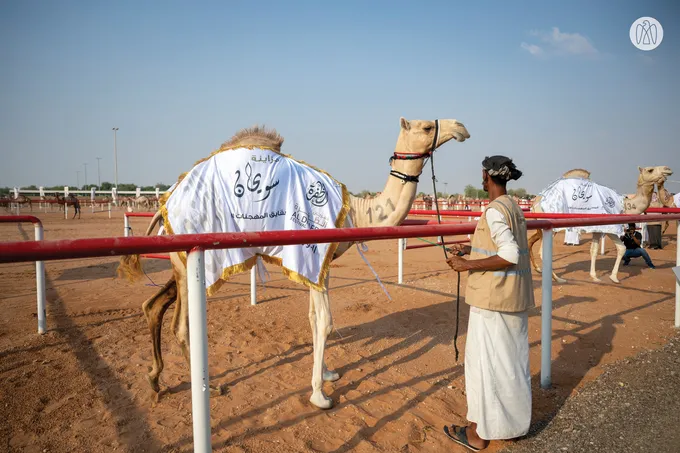 Mohammed bin Hamdan bin Zayed attends Sweihan Mazayna, part of Al Dhafra Festival