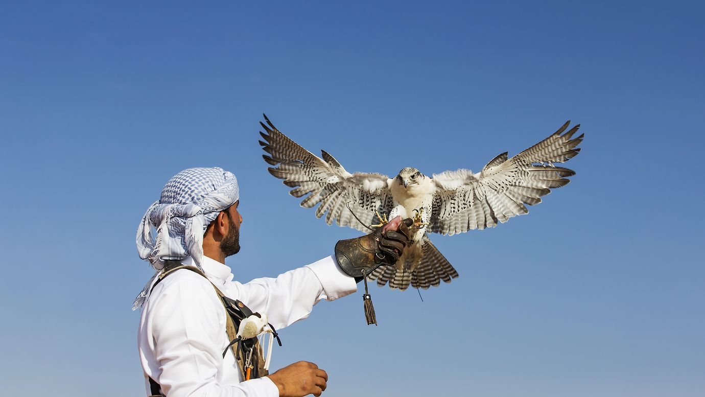 The Environment Agency Abu Dhabi officially announces the activation of the instant service