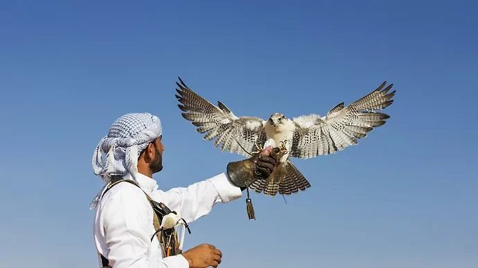 هيئة البيئة – أبوظبي تعلن عن تفعيل الخدمة الفورية لإصدار تراخيص الصيد التقليدي (الصيد بالصقور) عبر منصة &quot;تم&quot;