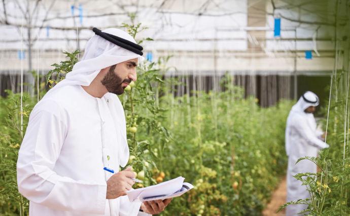 هيئة أبوظبي للزراعة والسلامة الغذائية تحصل على الاعتماد العالمي في الحوكمة المؤسَّسية