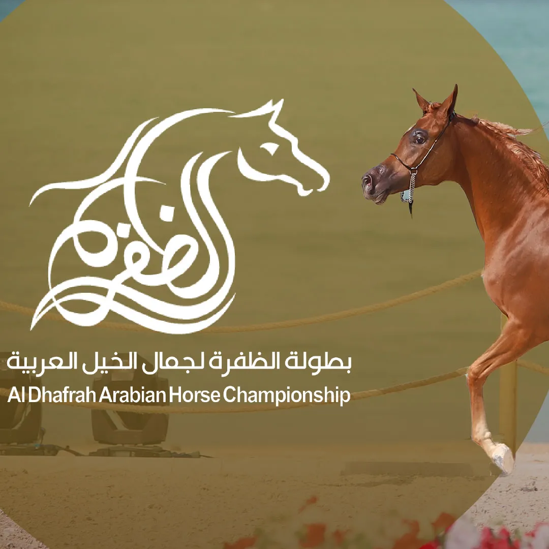 under-the-patronage-of-hamdan-bin-zayed-al-dhafra-arabian-horse