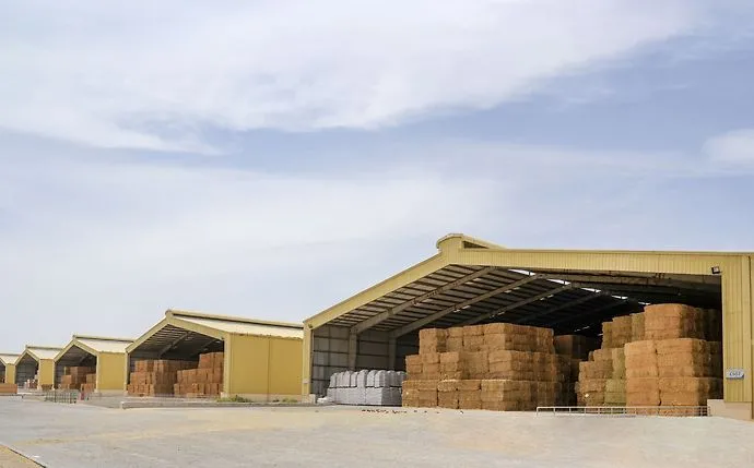 ADAFSA launches Fodder Market
