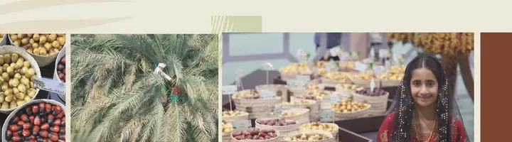 Liwa Date Festival