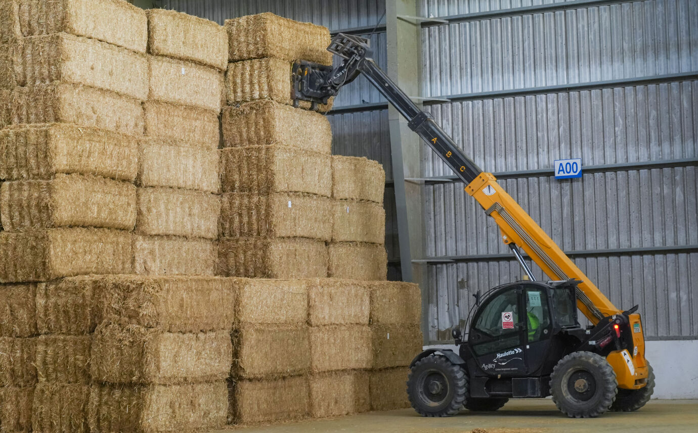 Abu Dhabi Agriculture and Food Safety Authority Fodder Market receives ...